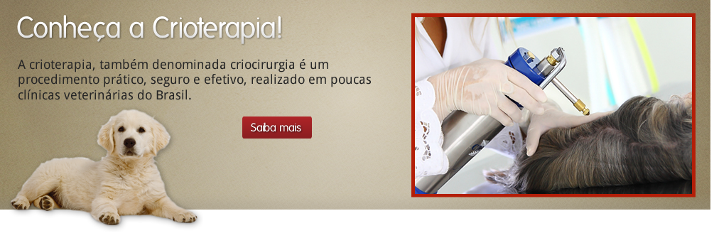 Dermatologia Veterinária Sorocaba, Clínica Veterinária Sorocaba, Cãopanheiro Sorocaba